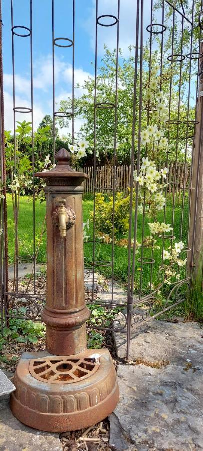 Au Coquelicot : Gite Cosy Pour 8 Pers. Avec Jardin Ατ Εξωτερικό φωτογραφία